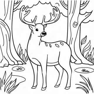 Bockhjort i en skog färgläggningssida | Bock målarbild