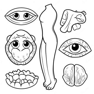 Kroppsdelar Målarbild | Kroppsdelar målarbild