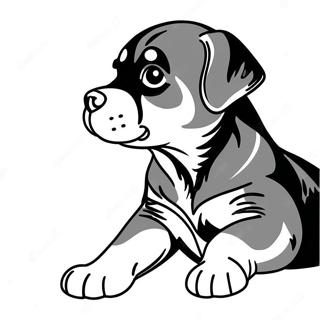 Lekfull Rottweiler-valp målarbild | Rottweiler målarbild