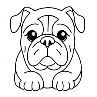 Bulldog målarbild | Bulldog målarbild