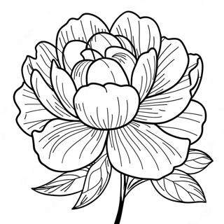 Pion Blomma Målarbild | Pion målarbild