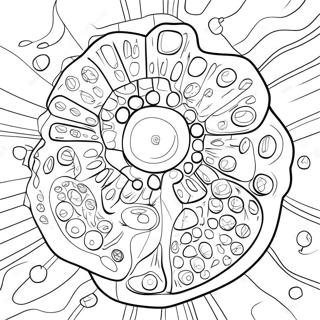 Cellstruktur Färgläggningssida | Cell målarbild