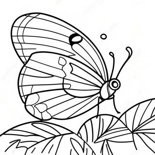 Färgglad Leafwing Fjäril Målarbild | Bladvinge målarbild