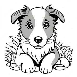 Border Collie valp färgläggningssida | Border Collie målarbild