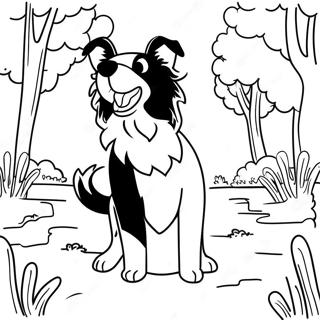 Lekfull Border Collie i parken färgläggningssida | Border Collie målarbild