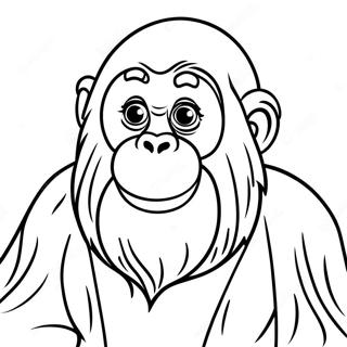 Orangutang att färglägga | Orangutang målarbild