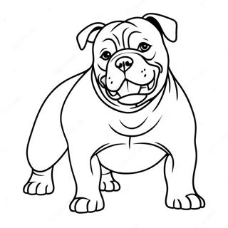 Amerikansk Bully hund målarbild | Amerikansk Bully målarbild