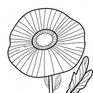 Poppy Blomma Målarbild | Valmo målarbild