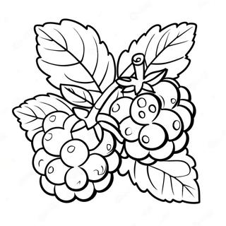 Hallonfrukt målarbild | Hallon målarbild