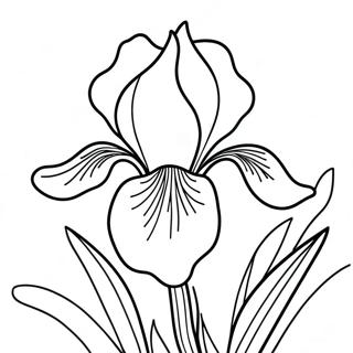 Irisblomma Färgläggningssida | Iris målarbild