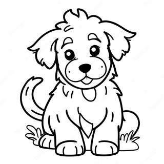 Lekfull Aussiedoodle färgläggningssida | Aussiedoodle målarbild
