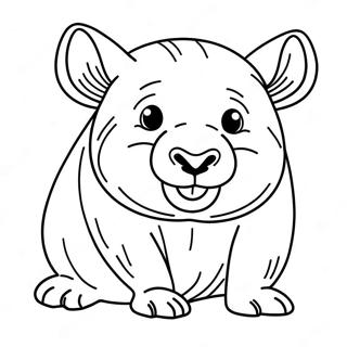 Wombat Målarbild | Vombat målarbild