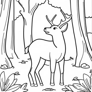 Vitsvanshjort i en Skog Målarbild | Vitsvanshjort målarbild