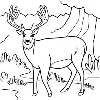 Mule Deer Målarbild | Mule Deer målarbild