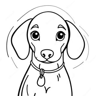 Färgläggningssida för Weimaraner-valp | Weimaraner målarbild