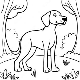 Lekfull Weimaraner i parken färgläggningssida | Weimaraner målarbild