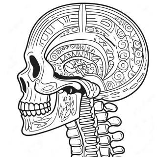 Detaljerad Mänsklig Skelett Målarbild | Märk Skelettet målarbild