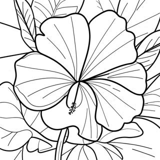 Tropisk Hibiskus Målarbok | Hibiskus målarbild