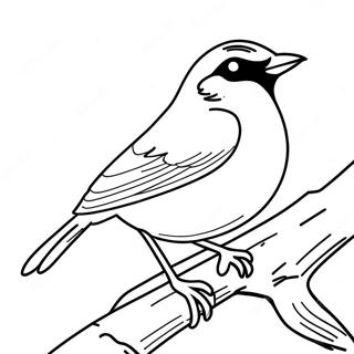 Robin i Aktion Färgläggningssida | Ung rättvisa målarbild