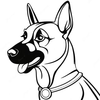 Belgisk Malinois Hund Målarbild | Belgisk Malinois målarbild