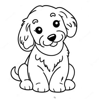 Goldendoodle Valp Målarbild | Goldendoodle målarbild