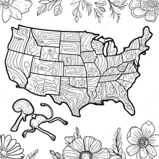 Detaljerad USA Karta Målarbild | USA-karta målarbild