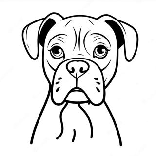 Boxerhund Målarbok | Boxerhund målarbild